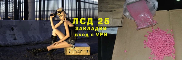спайс Богданович