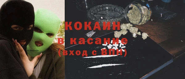 спайс Богданович