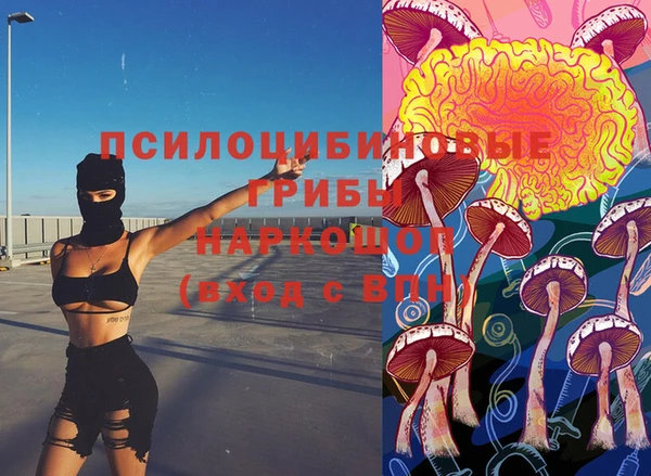 спайс Богданович