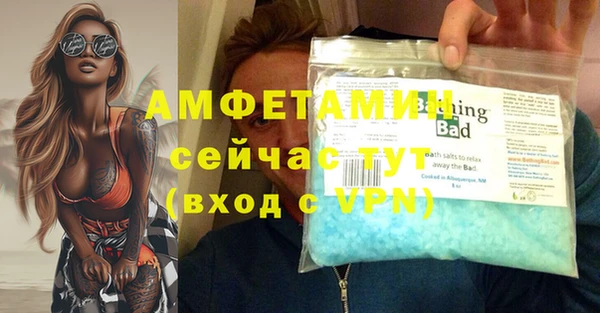 спайс Богданович