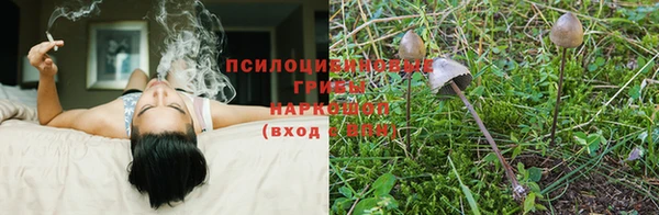 спайс Богданович